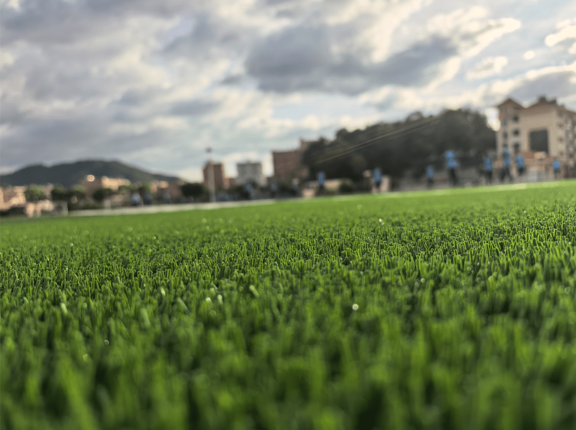 Profield™-TB10W-T7